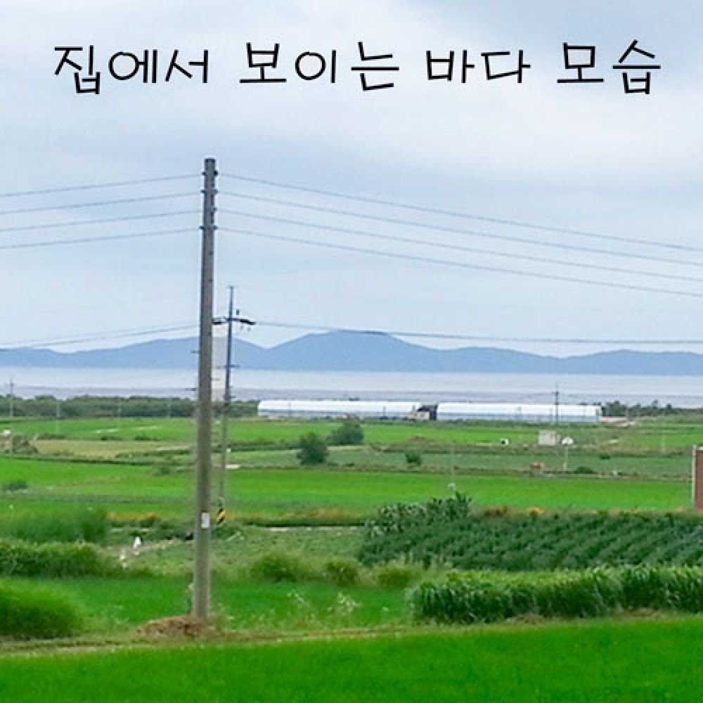 외부전경